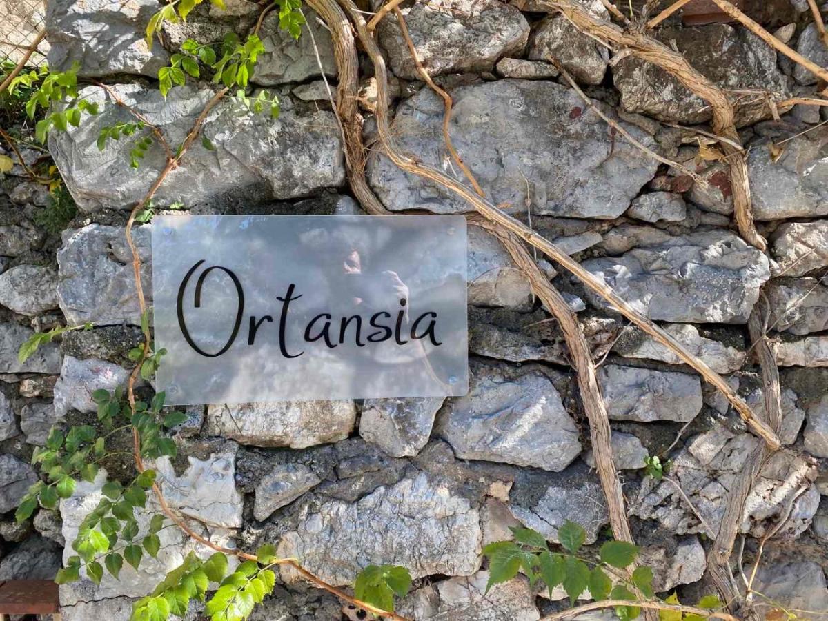Ortansia Lejlighed Dimitsana Eksteriør billede